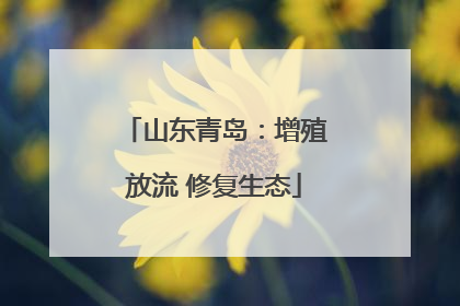 山东青岛：增殖放流 修复生态